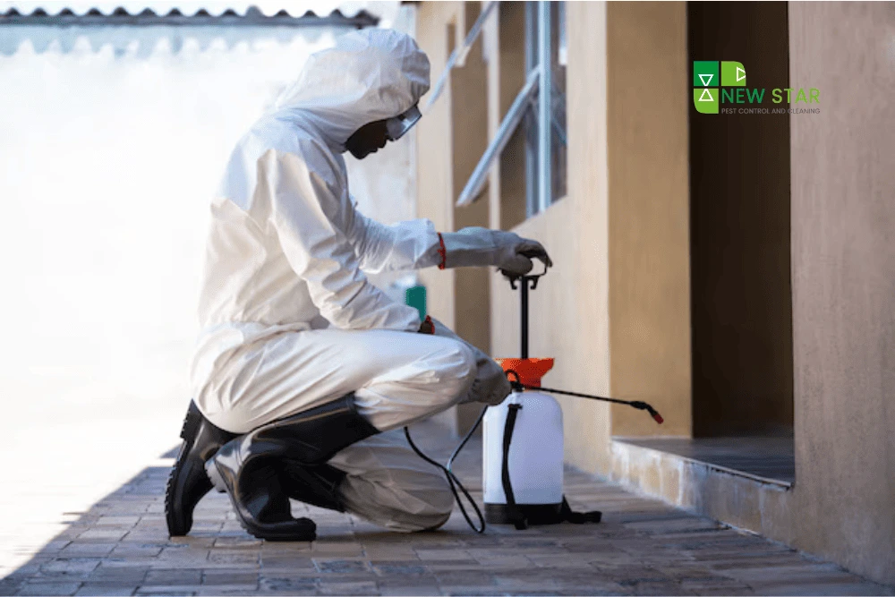 Hidden Pest Risks