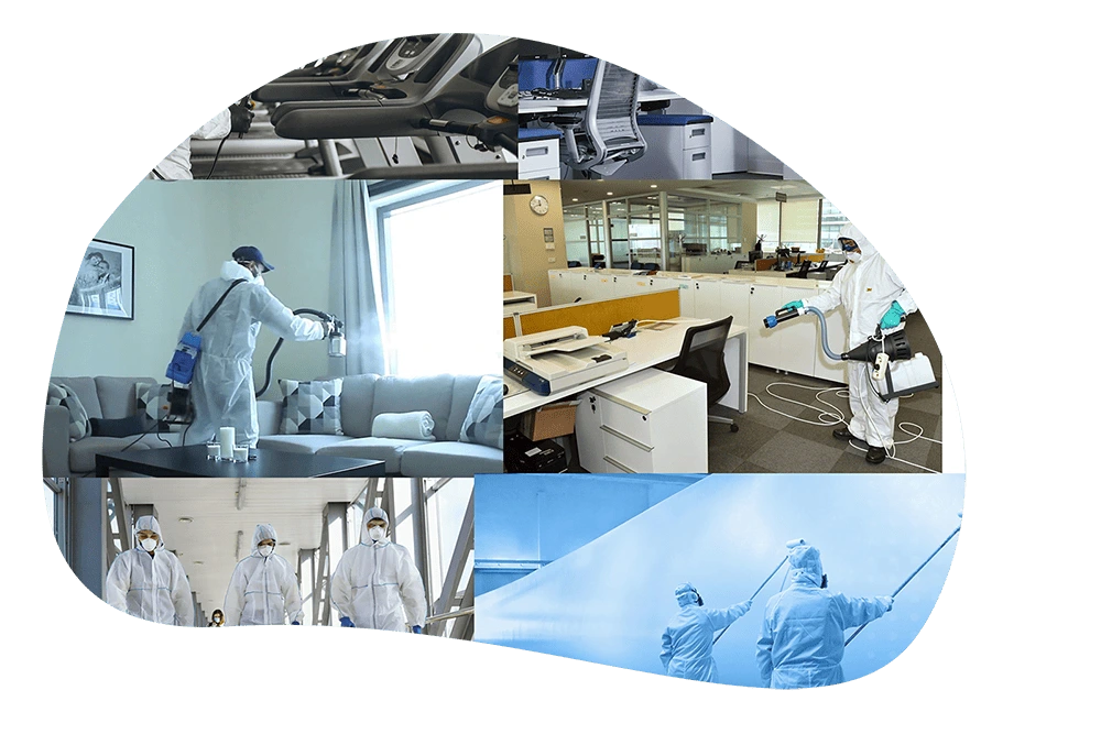 Pest control service sharjah