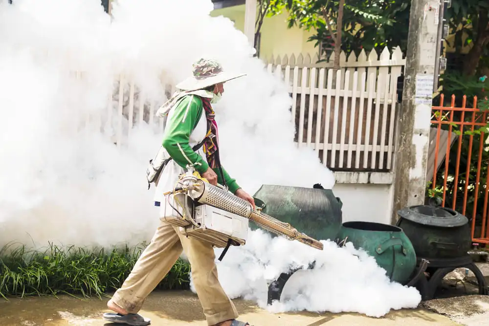 Fumigation company dubai