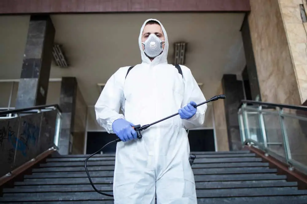 Fumigation service in abu dhabi