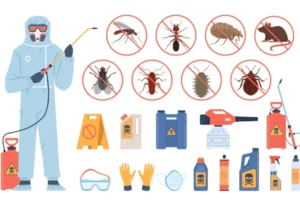 How Small Openings Invite Big Pest Problems Indoors