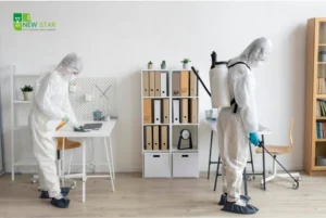 Office Pest Control: Protecting Your Workspace from Hidden Infestations