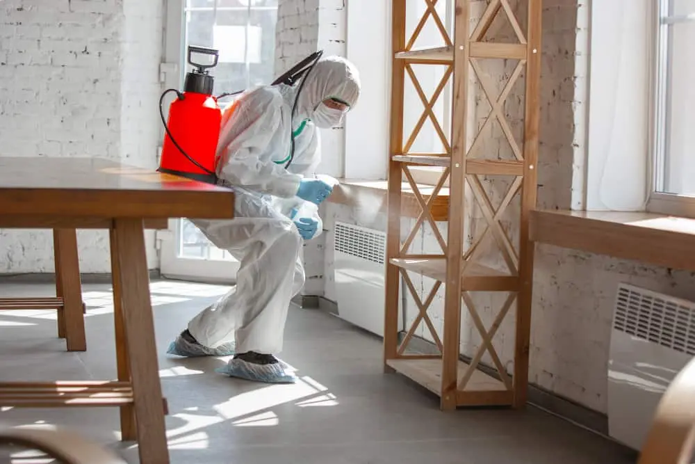 termite treatment dubai