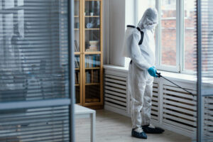 Best pest control strategies for villas and apartments in Dubai
