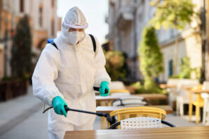 how humidity impacts pest infestation in Dubai?