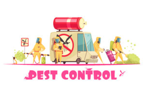 Comprehensive Guide to Pest Control in Sharjah