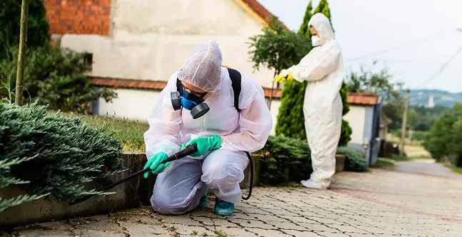 Pest-control-and-cleaning-service