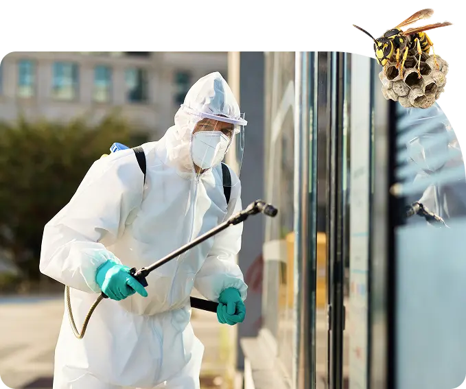 best-pest-control-in-dubai