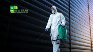 Common Pest Problems in Sharjah Homes And How to Prevent Them