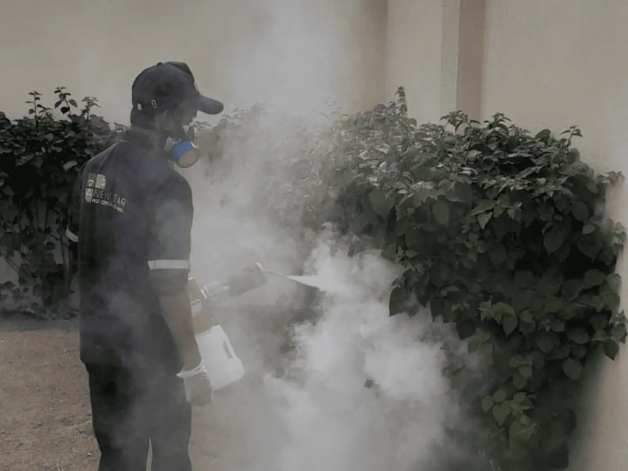 pest-control-services-new-star-uae