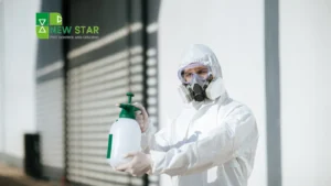 Signs Your Property in Ajman Needs Professional Pest Control