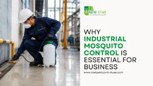 industrial-mosquito-control-in-dubai-new-star
