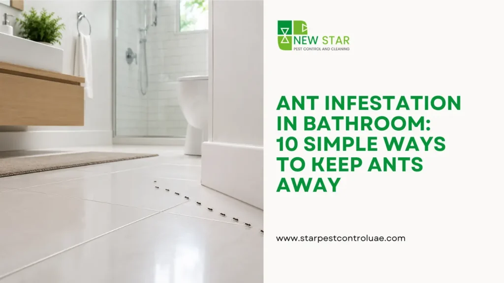 ant-infestation-in-bathroom-in-dubai