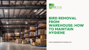 Bird Removal from Warehouse: How to Protect Inventory and Maintain Hygiene