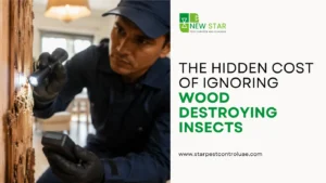 wood-destroying-insects-new-star