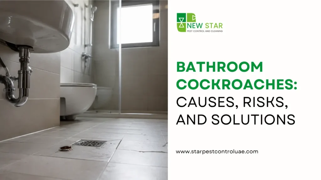 bathroom-cockroaches-causes-risks-and-solutions